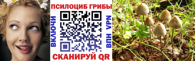Галлюциногенные грибы MAGIC MUSHROOMS  Купить где  Междуреченск 